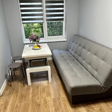 Carpathian Dream Apartment