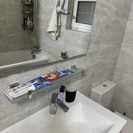 아파트 Carpathian Dream 야렘체